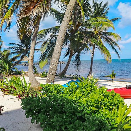 Blue Water Beach Villas San Pedro  Oda fotoğraf